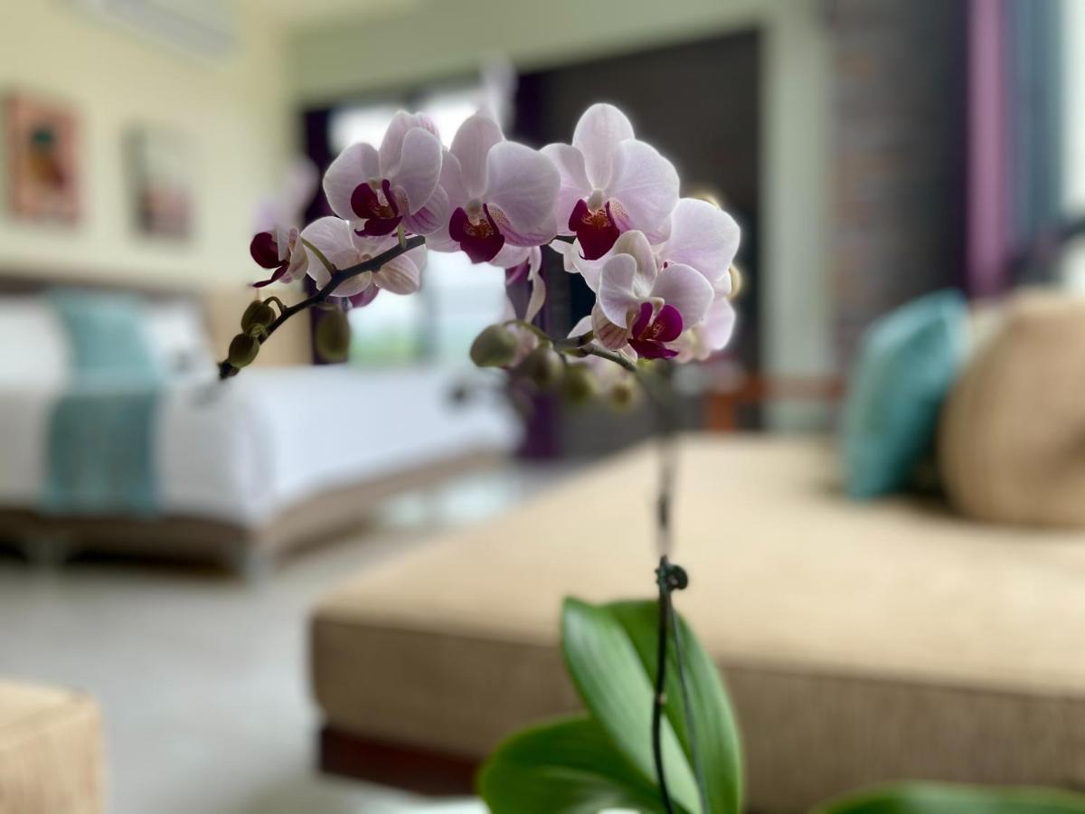 Follow The Cloud B&B Jialin Dış mekan fotoğraf